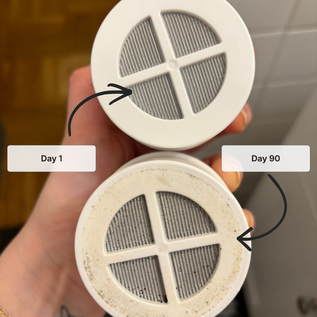 Clara Shower Head Filter